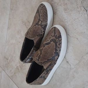 Steve Madden Symba Slip On Snakeskin Print Sneakers